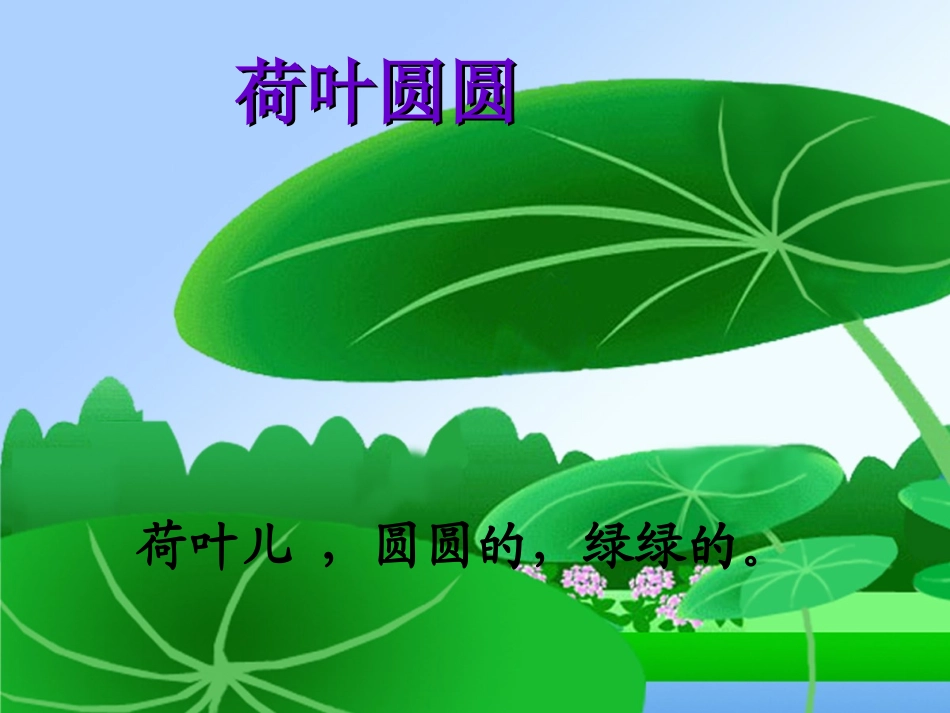 《荷叶圆圆》1_第1页