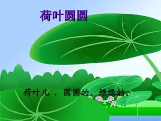 《荷叶圆圆》1