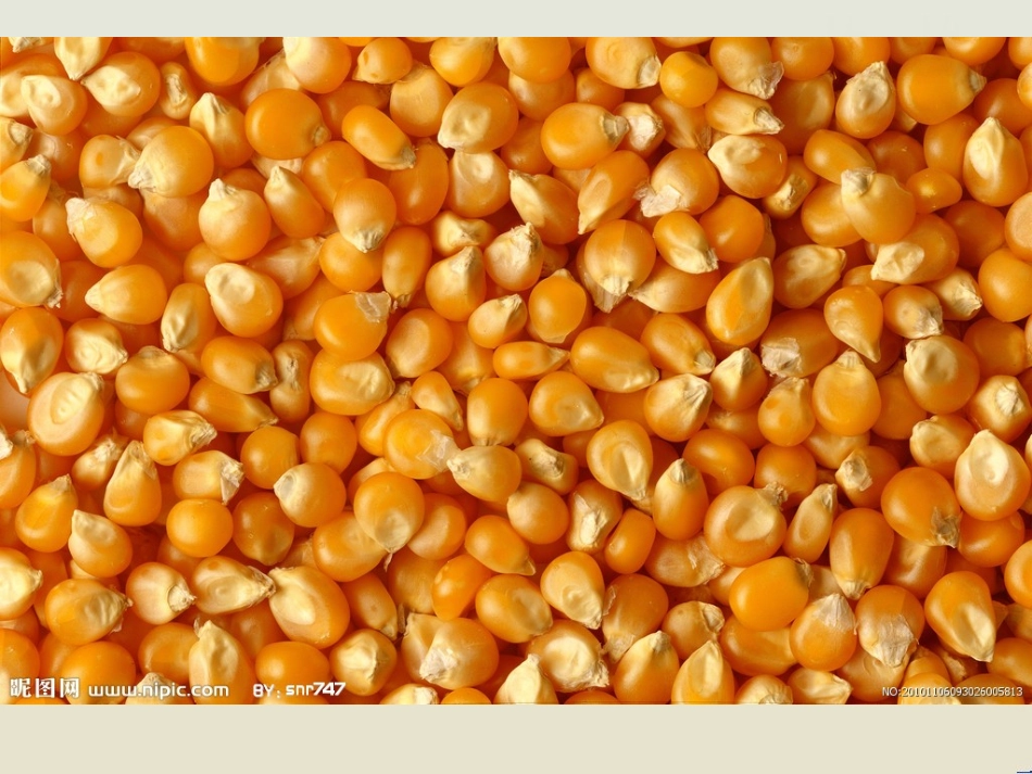 食物变了样课件_第2页