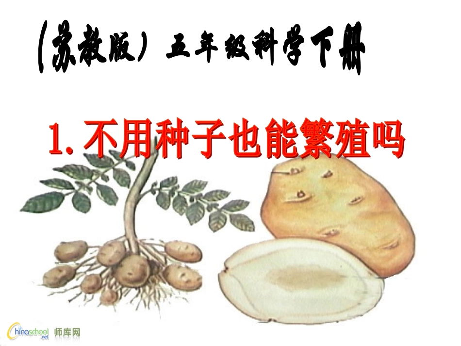 不用种子也能繁殖吗_第1页