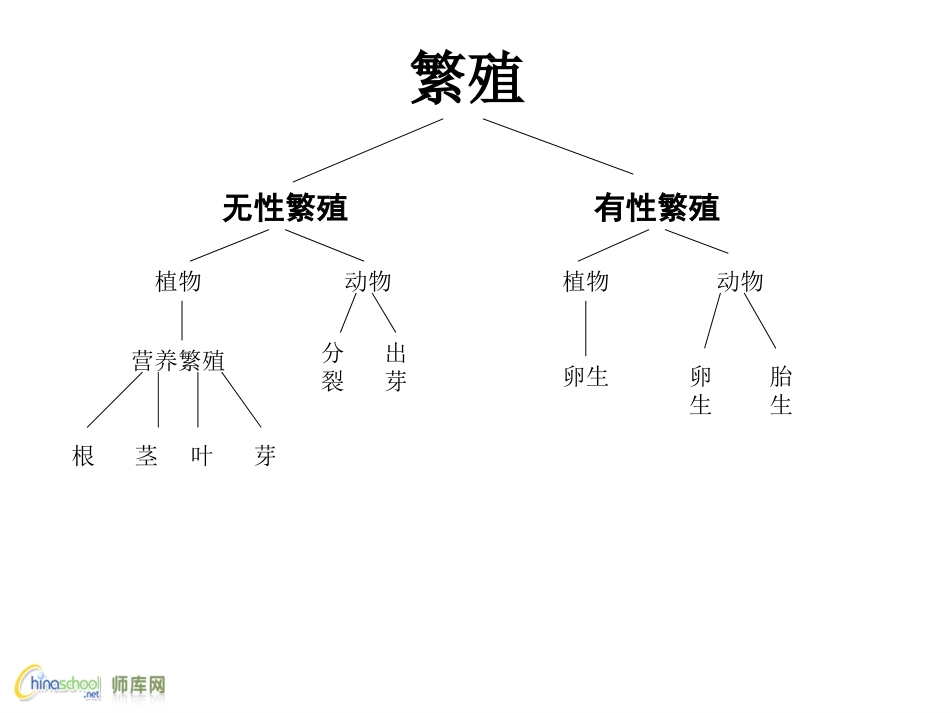 不用种子也能繁殖吗_第2页