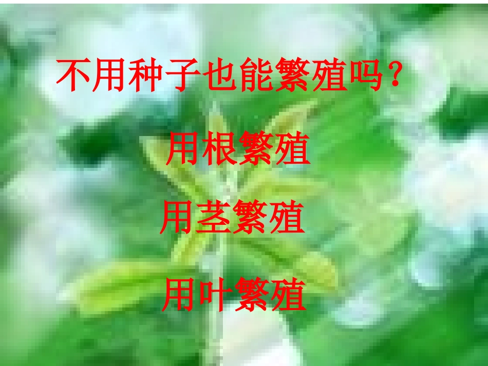 不用种子也能繁殖吗_第3页