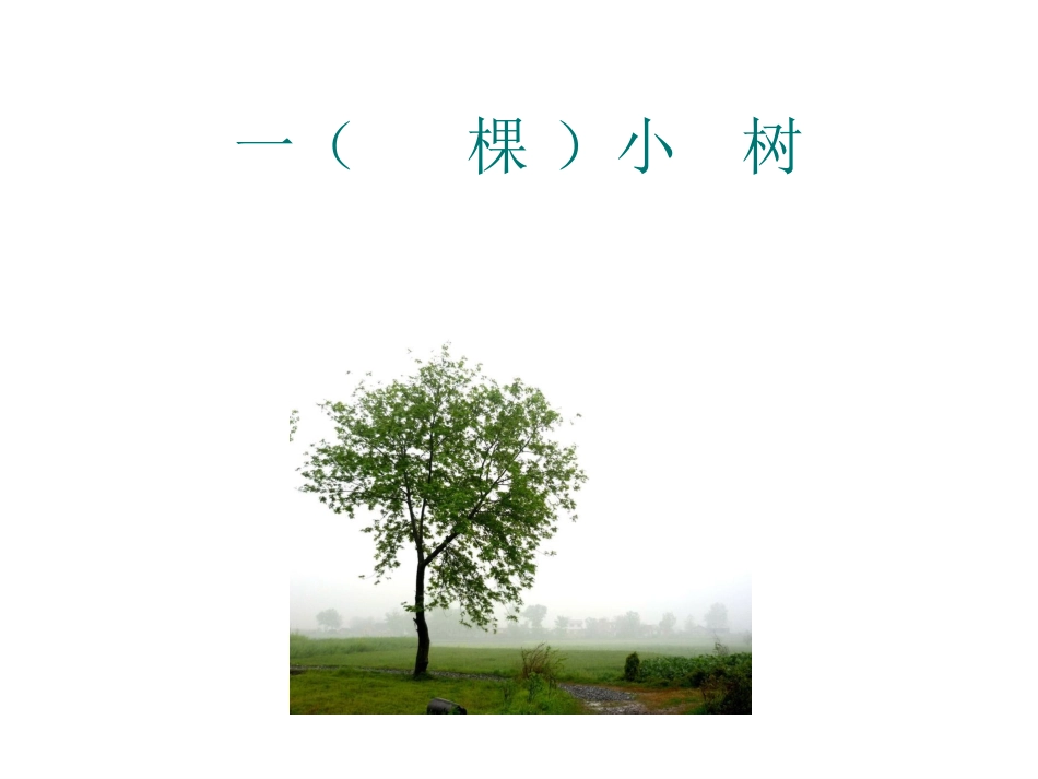 《5_爷爷和小树》修改_第2页