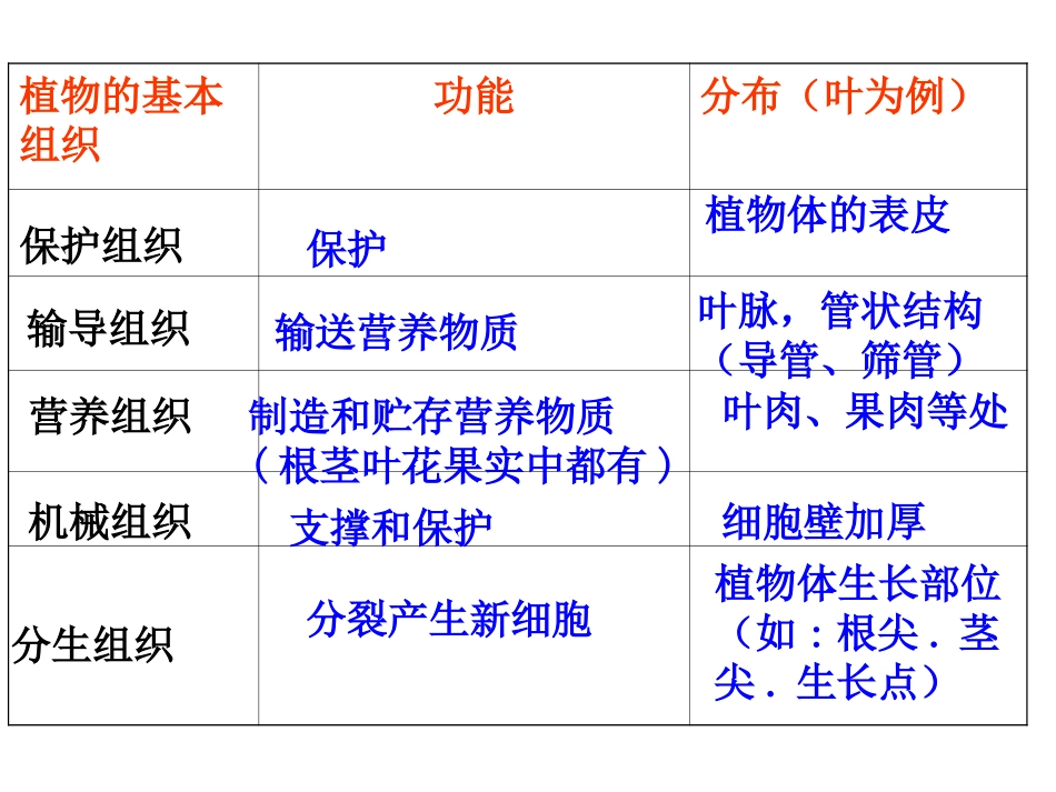 生物体的结构层次_第3页