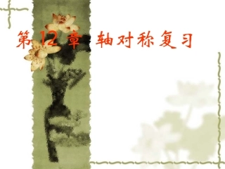 轴对称复习课