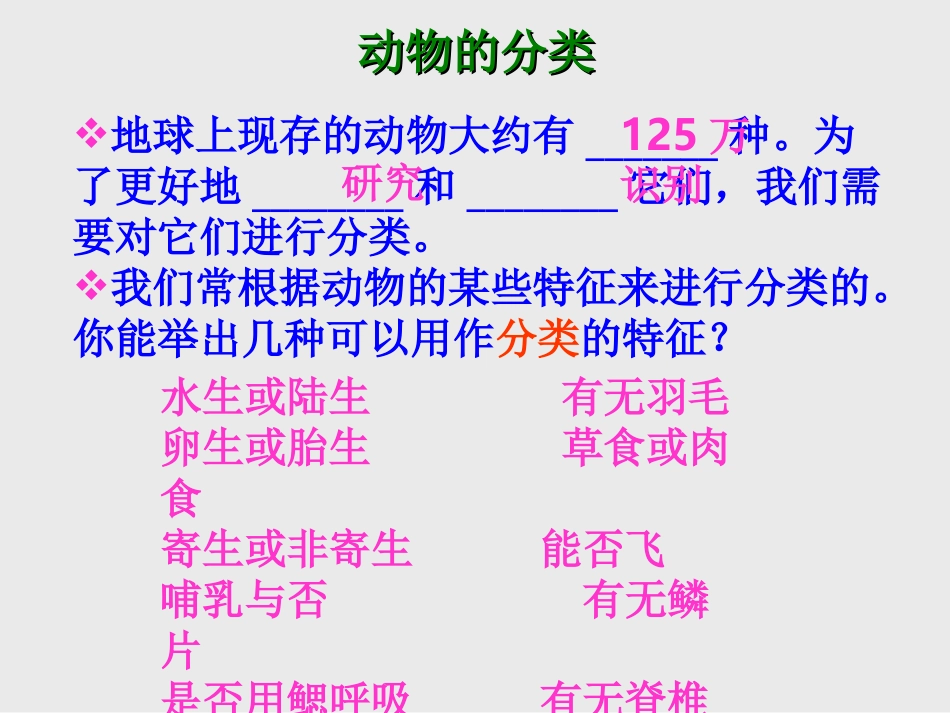 第11课时24常见的动物_第2页