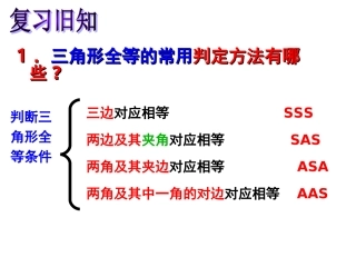 _直角三角形的判定