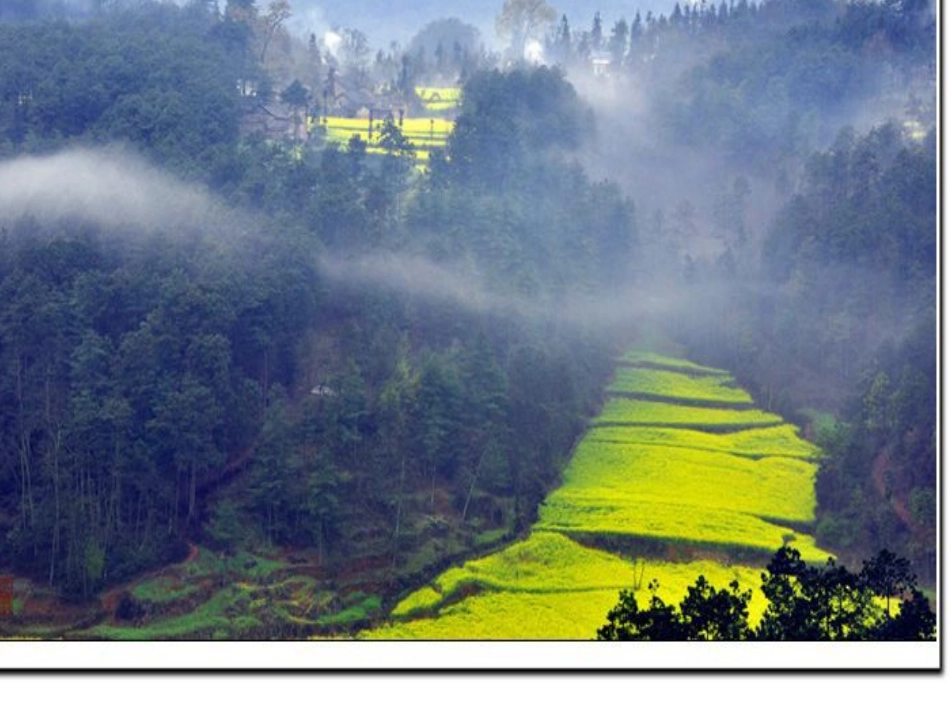 小学三年级语文《翠鸟》课件_第2页