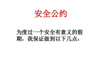 安全公约课件
