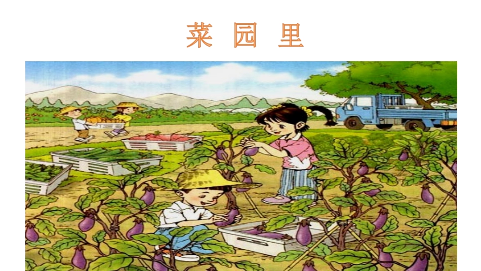 菜园里（一年级上）_第1页