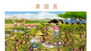 菜园里（一年级上）