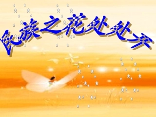 民族之花处处开