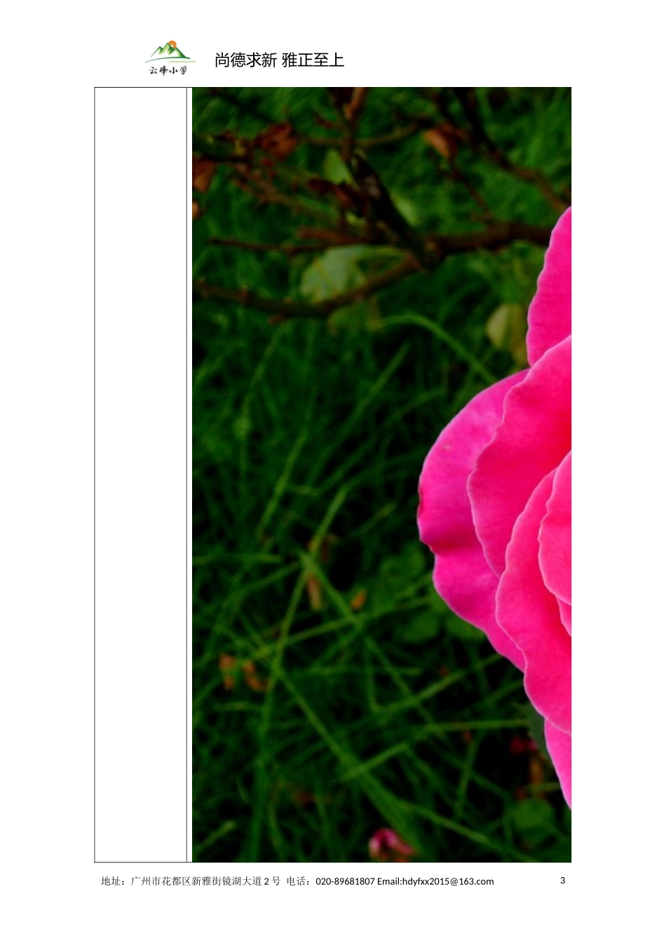 用好颜色词，让句子美起来_第3页