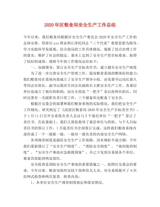 2020年区粮食局安全生产工作总结 