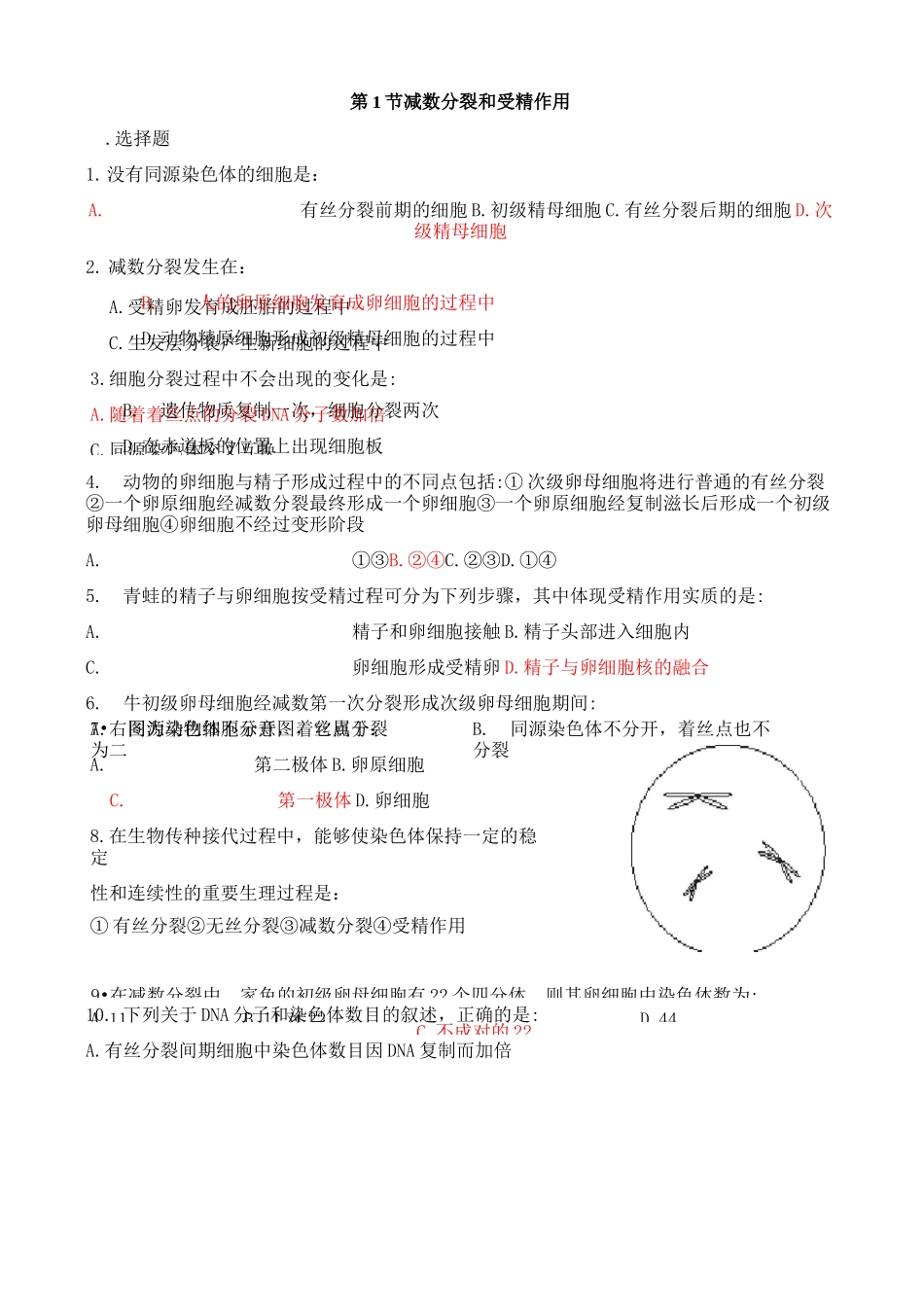 人教版高中生物必修二第节减数分裂和受精作用练习题_第1页