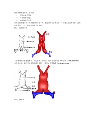 心脏的胚胎发育汇总