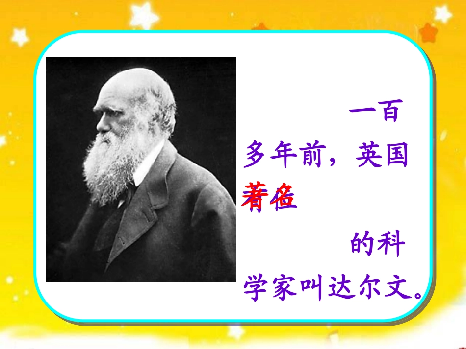 《有趣的发现》课件_第3页