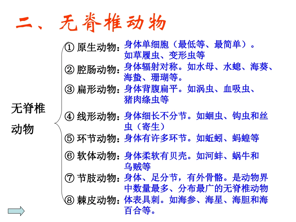 第二课时无脊椎动物_第1页