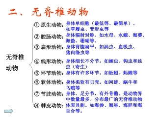 第二课时无脊椎动物