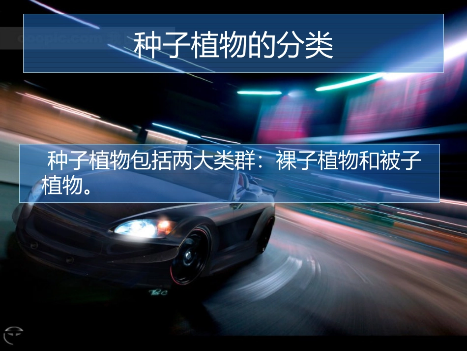 第15课时25常见的植物裸子植物与被子植物_第3页