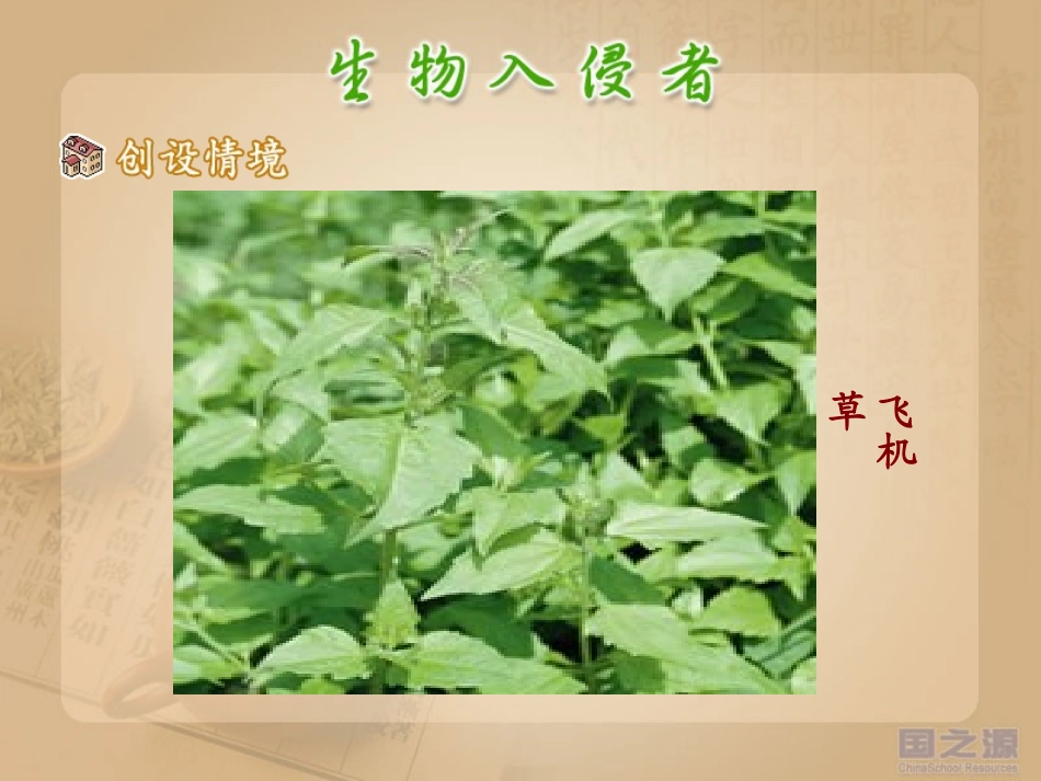 生物入侵者 (2)_第3页