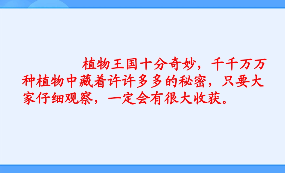 二年级上册3植物妈妈有办法课件1_第2页