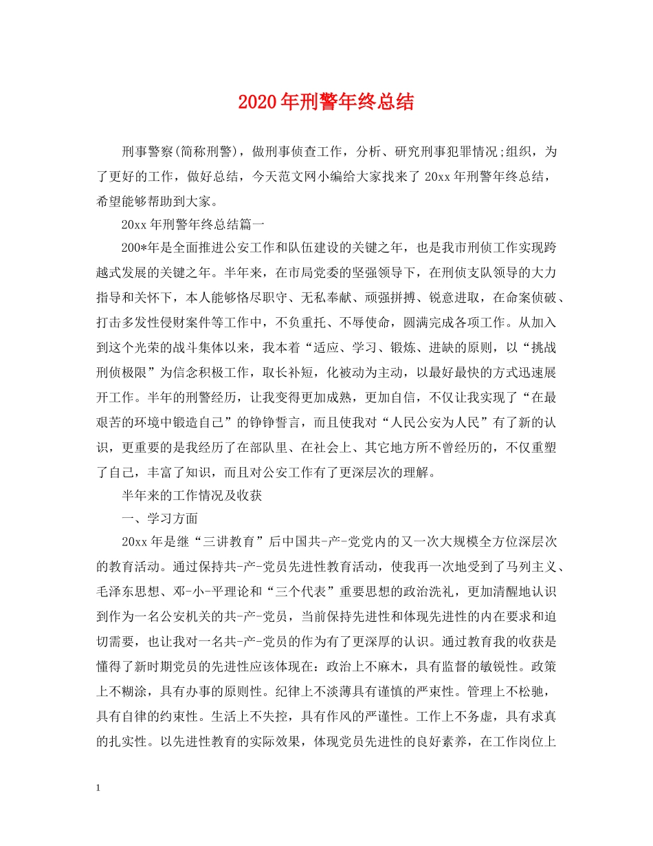 2020年刑警年终总结 _第1页