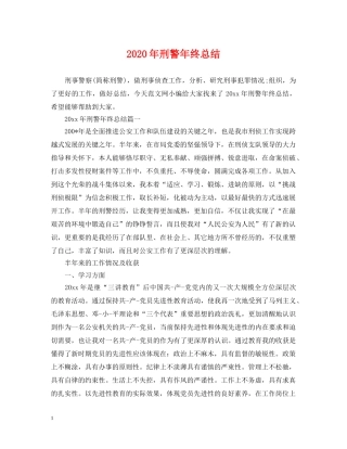 2020年刑警年终总结 
