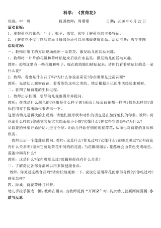 科学《赏荷花》