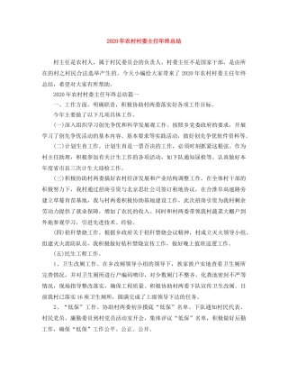 2020年农村村委主任年终总结 