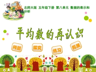 平均数的再认识