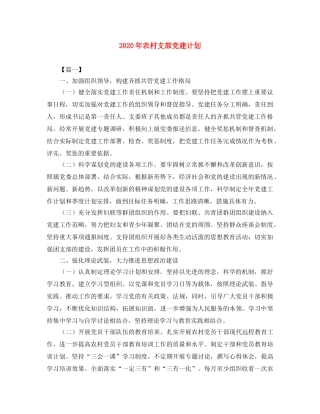 2020年农村支部党建计划 