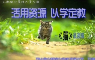 猫说课稿设计PPT石和