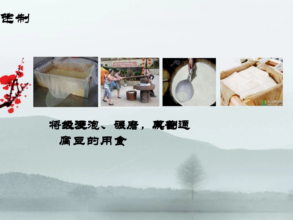 忠州名产-豆腐乳_第3页