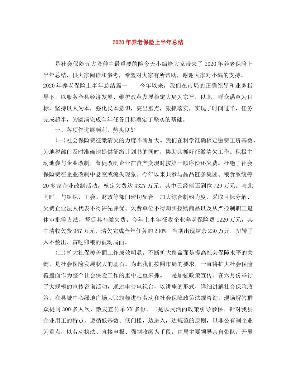 2020年养老保险上半年总结 _第1页