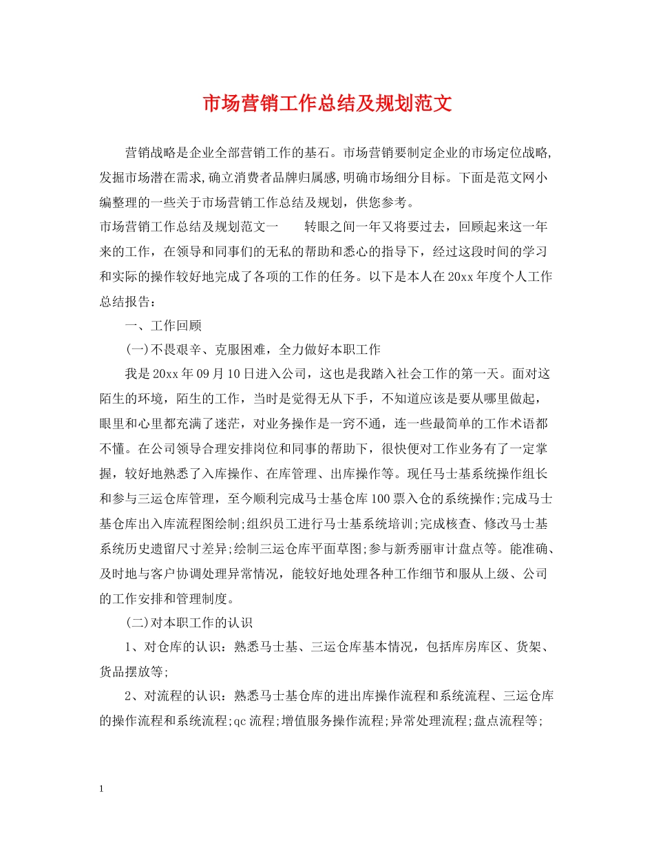 市场营销工作总结及规划范文_第1页
