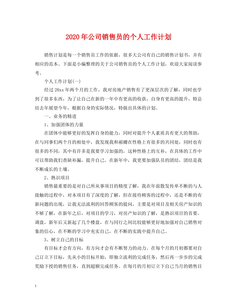 2020年公司销售员的个人工作计划 _第1页