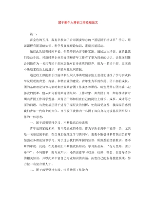 团干部个人培训工作总结范文