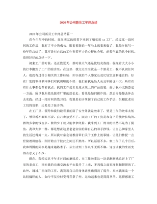 2020年公司新员工年终总结 