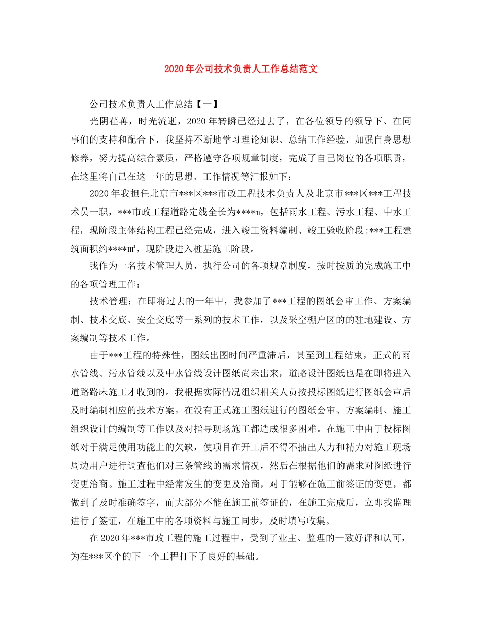 2020年公司技术负责人工作总结范文 _第1页