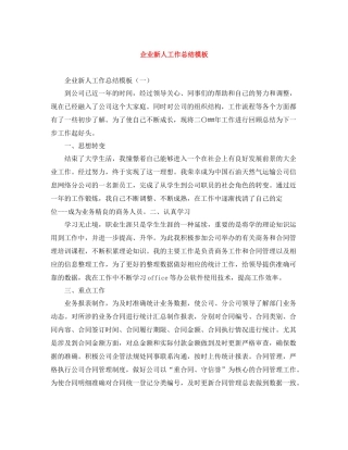 企业新人工作总结模板
