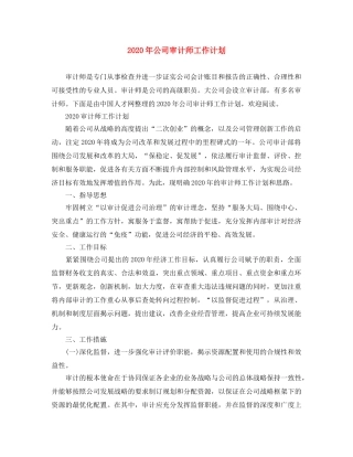 2020年公司审计师工作计划 