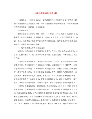 审计自查报告范文精选3篇