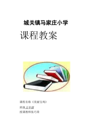 五年级上册《美丽宝鸡》教案