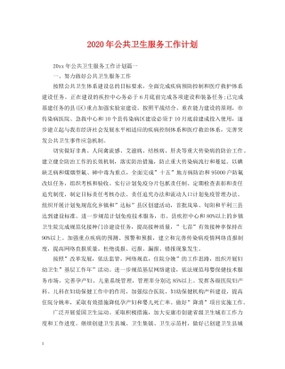 2020年公共卫生服务工作计划2 