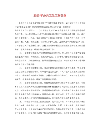 2020年公共卫生工作计划2 