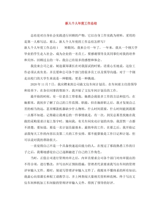 新人个人年度工作总结