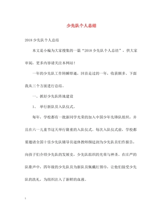 少先队个人总结