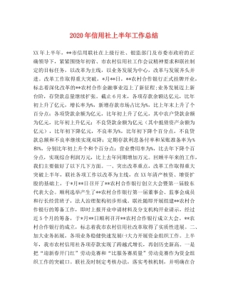 2020年信用社上半年工作总结 