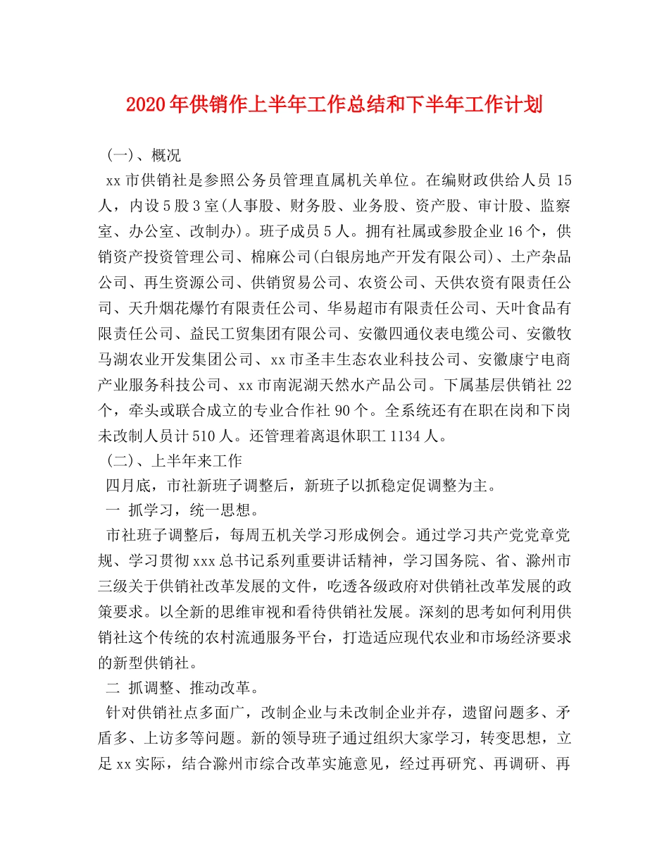 2020年供销作上半年工作总结和下半年工作计划 _第1页
